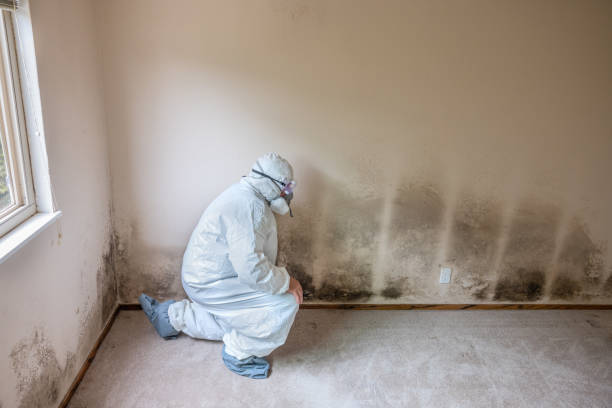 Best Water Damage & Mold Remediation  in Glenpool, OK